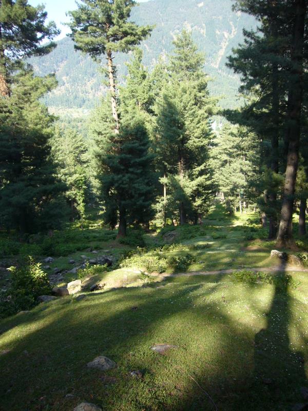 Travel - India - Kashmir - Pahalgam - Around Bentes Lodge